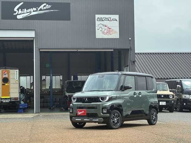 Mitsubishi Delica Mini 9