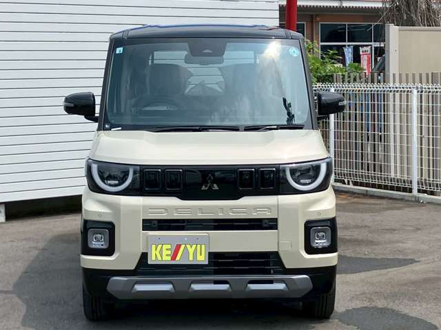 Mitsubishi Delica Mini 4