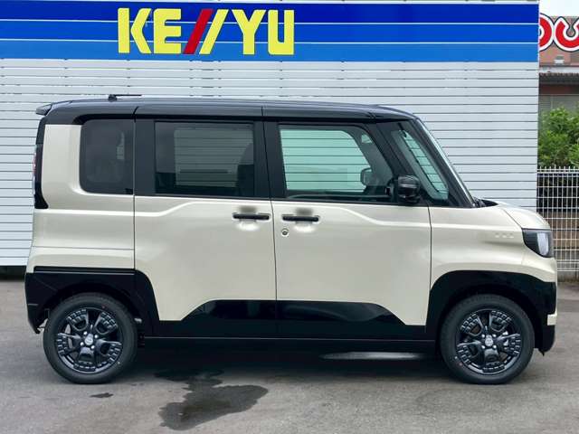 Mitsubishi Delica Mini 7
