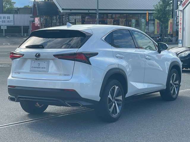 Lexus NX 11