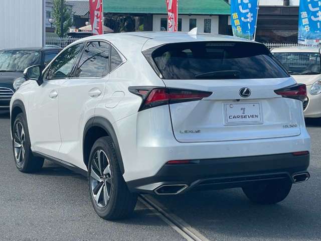 Lexus NX 12