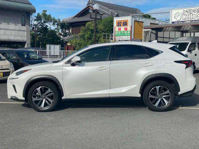 Lexus NX 8