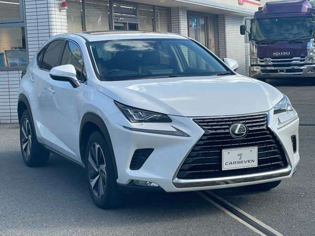 Lexus NX 9