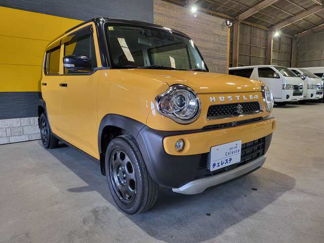 Suzuki Hustler 10