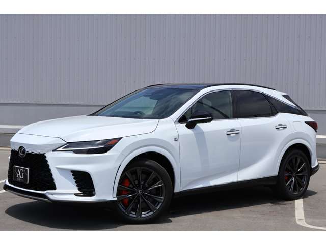 Lexus RX 11