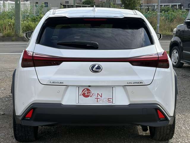 Lexus UX 11