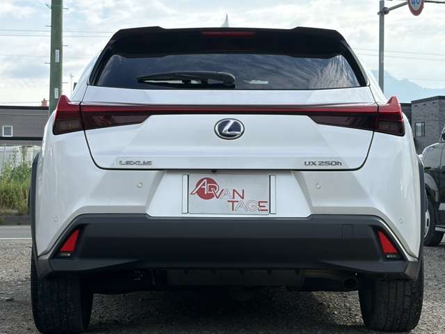 Lexus UX 12
