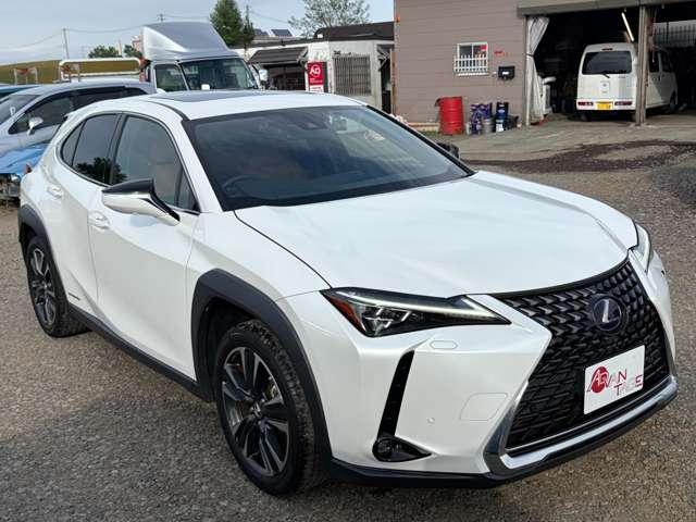 Lexus UX 6