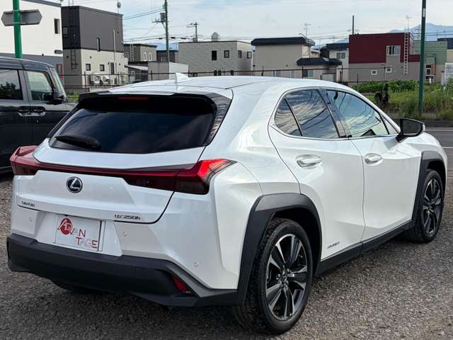 Lexus UX 9