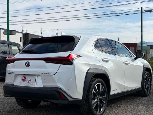 Lexus UX 10
