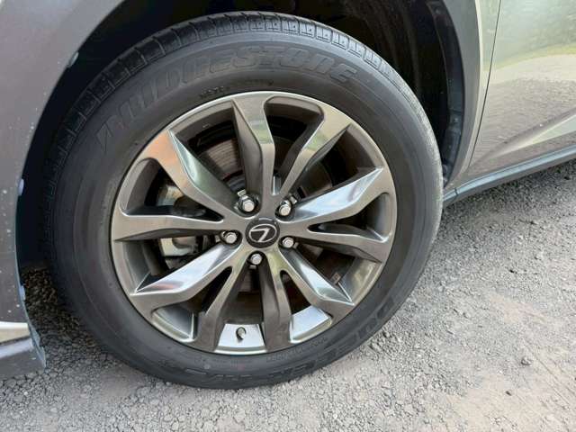 Lexus NX 12