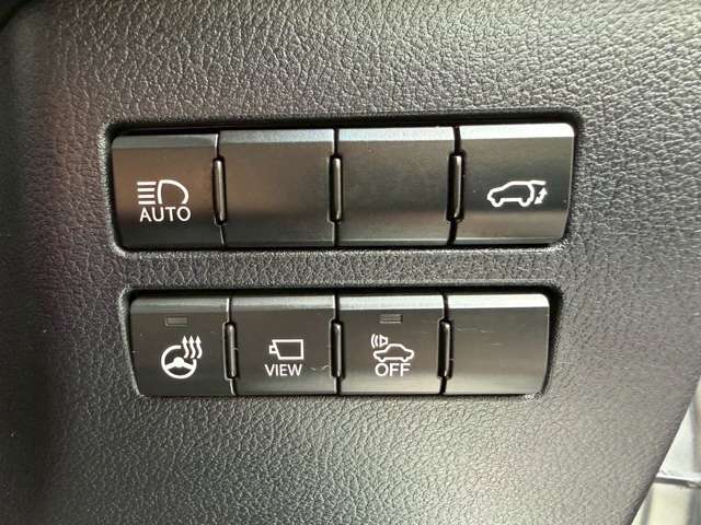 Lexus NX 4