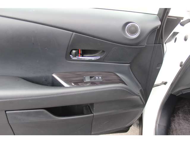 Lexus RX 11