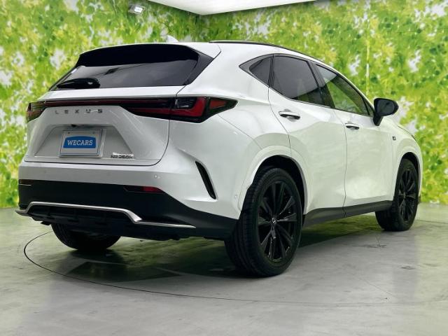 Lexus NX 6