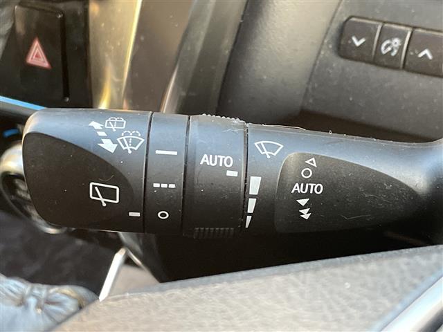 Toyota Alphard 13