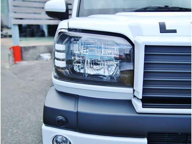 Daihatsu Taft 11