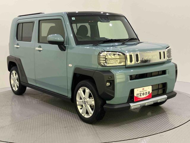 Daihatsu Taft 9