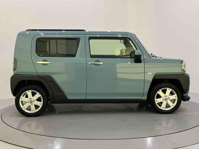 Daihatsu Taft 10