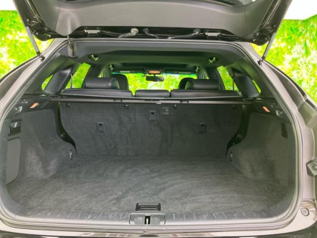 Lexus RX 10