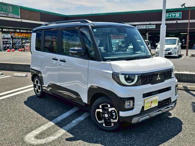 Mitsubishi Delica Mini 9