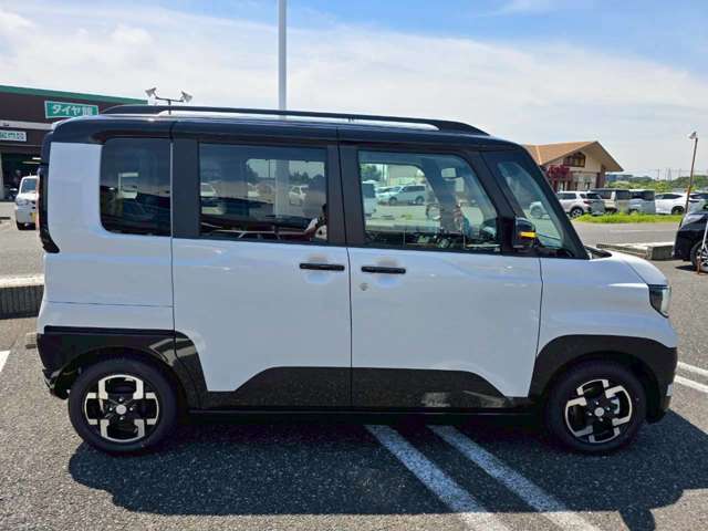 Mitsubishi Delica Mini 10