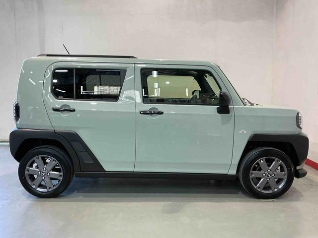 Daihatsu Taft 12