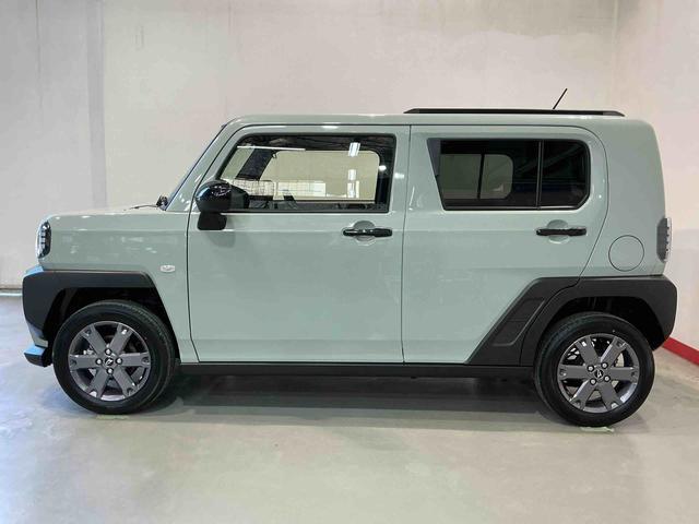 Daihatsu Taft 8