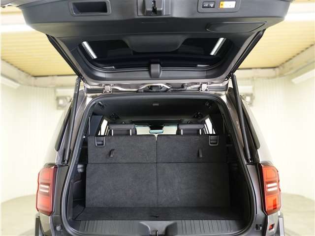 Toyota Land Cruiser 250 12