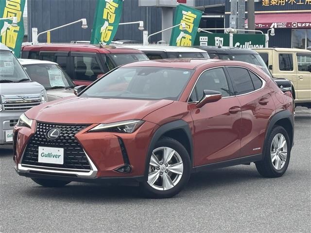 Lexus UX 12