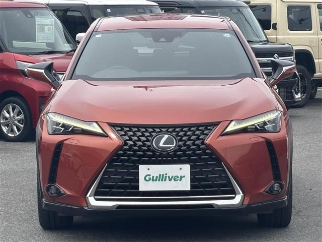 Lexus UX 8