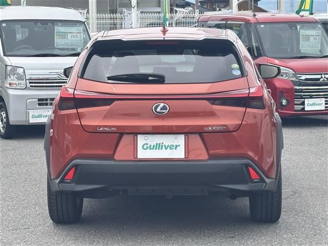 Lexus UX 9
