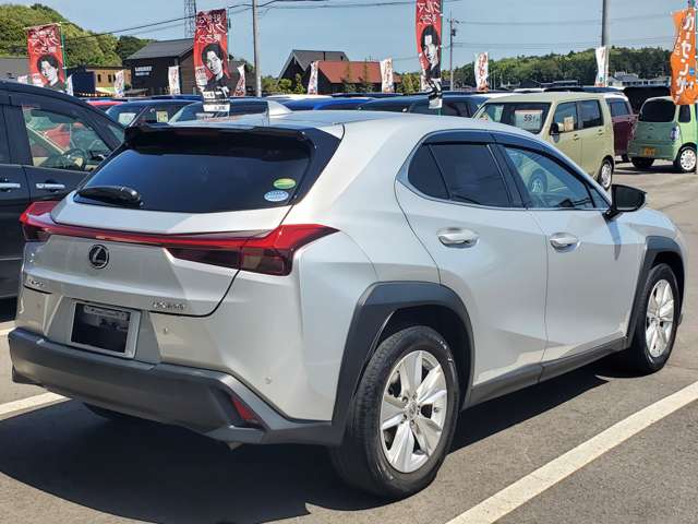 Lexus UX 9