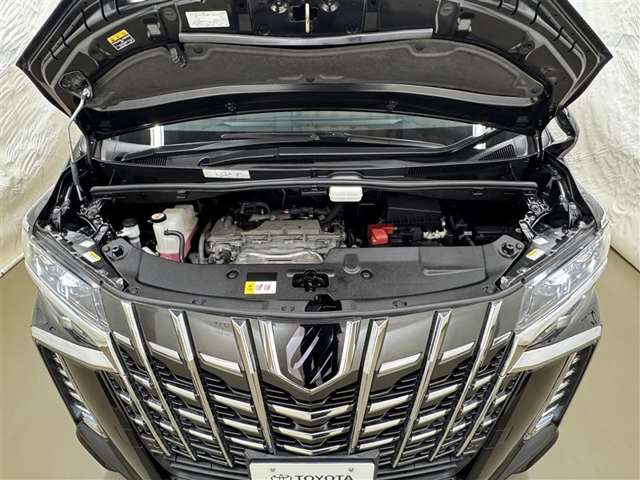 Toyota Alphard 11