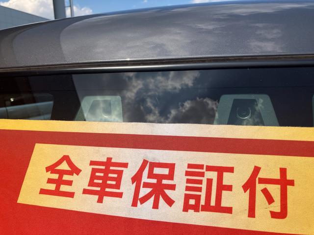 Suzuki Hustler 6