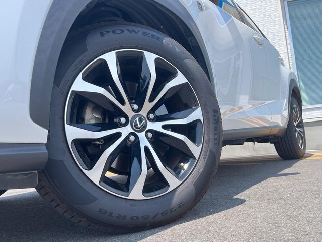 Lexus NX 10