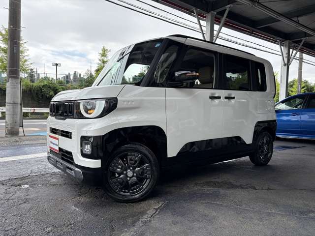 Mitsubishi Delica Mini 11