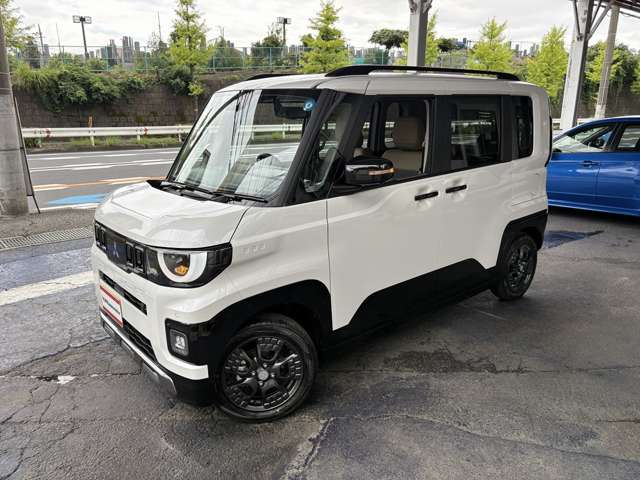 Mitsubishi Delica Mini 10