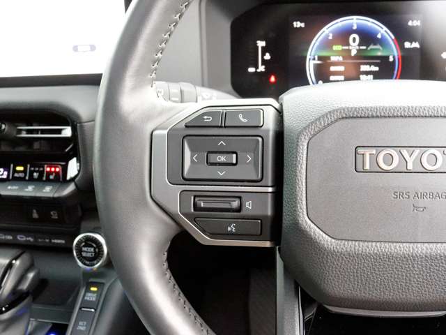 Toyota Land Cruiser 250 12