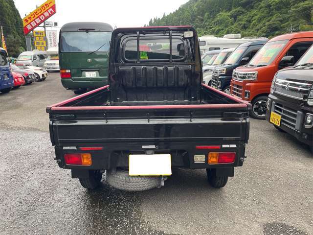 Toyota Pixis Truck 10