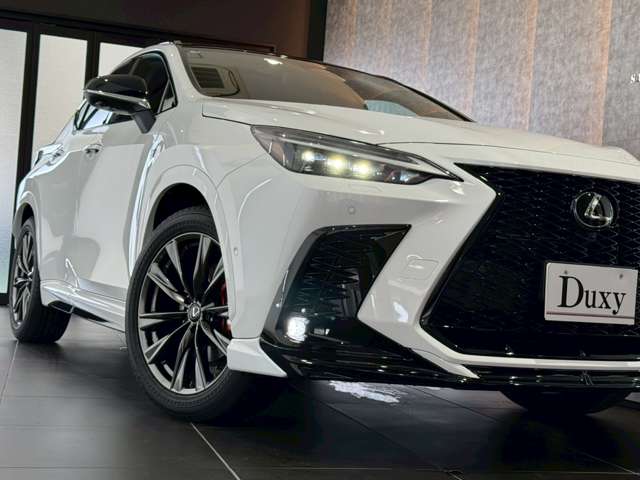 Lexus NX 11