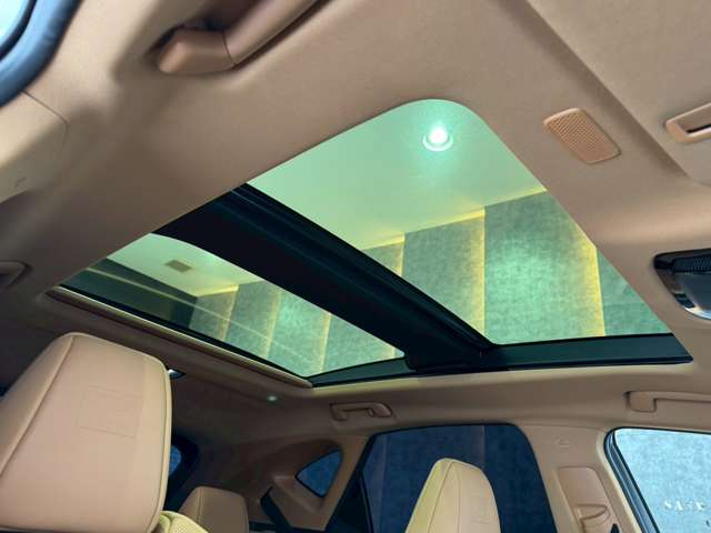 Lexus NX 4
