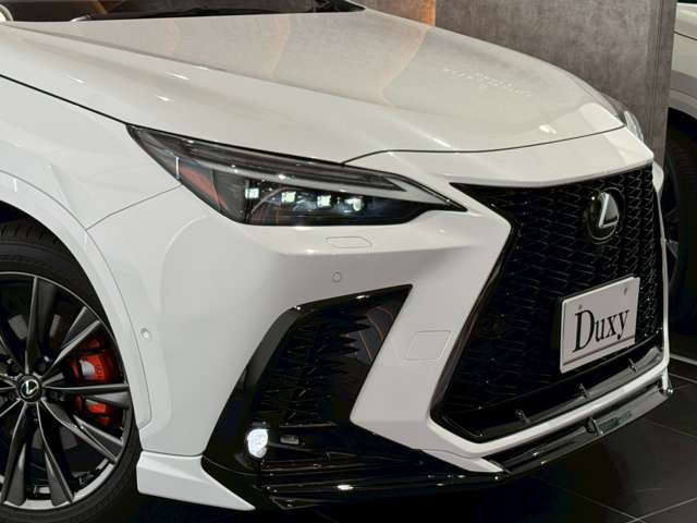 Lexus NX 10