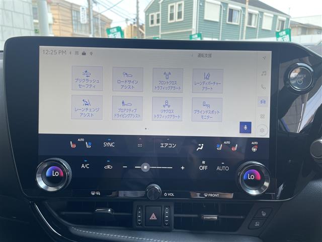 Lexus NX 12