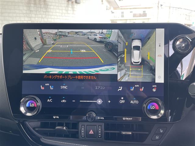 Lexus NX 6