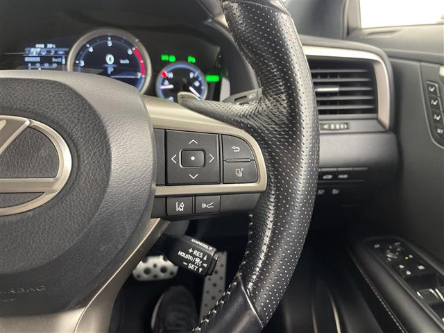Lexus RX 11