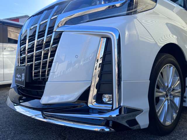 Toyota Alphard 12