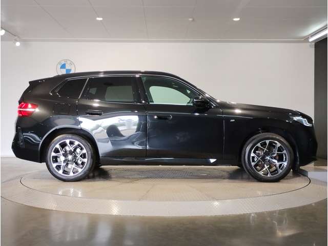 BMW X3 8