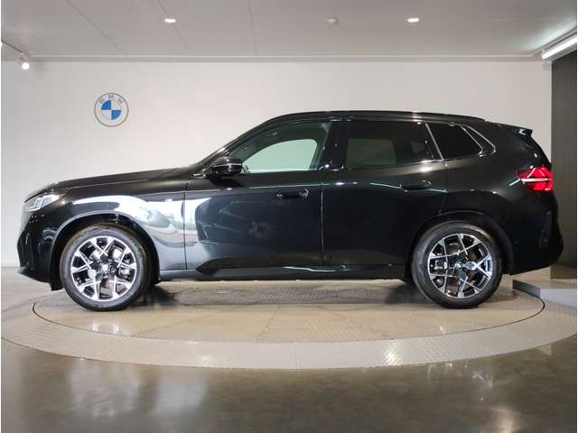 BMW X3 9