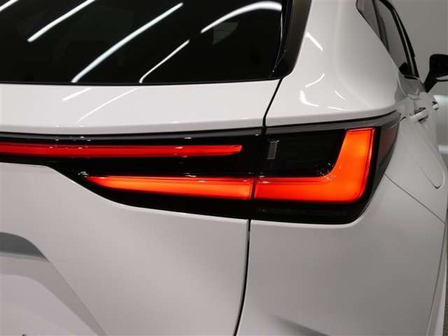Lexus NX 12