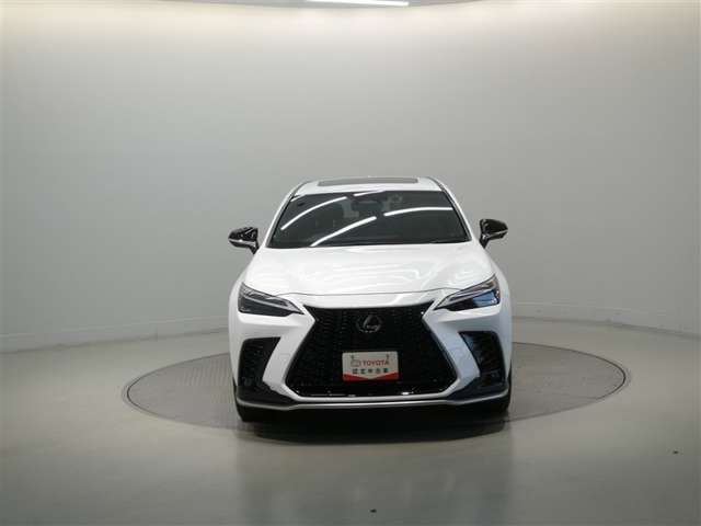 Lexus NX 3